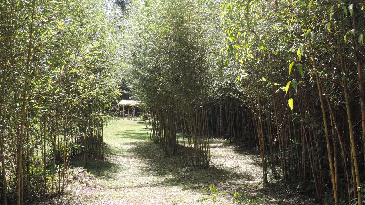 Camping Vale Das Trilhas Acampamento *